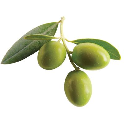 DẦU Ô LIU
