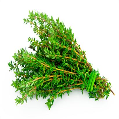 TINH DẦU XẠ HƯƠNG
