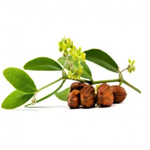 DẦU JOJOBA